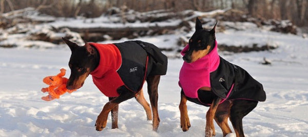 Chilly Dogs Winter Coat