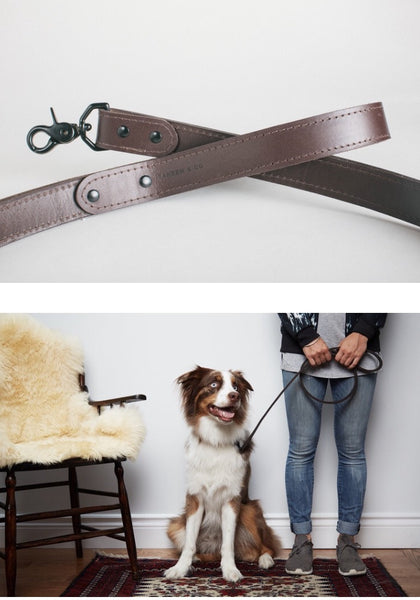 Tandem Co Leash Dark Brown