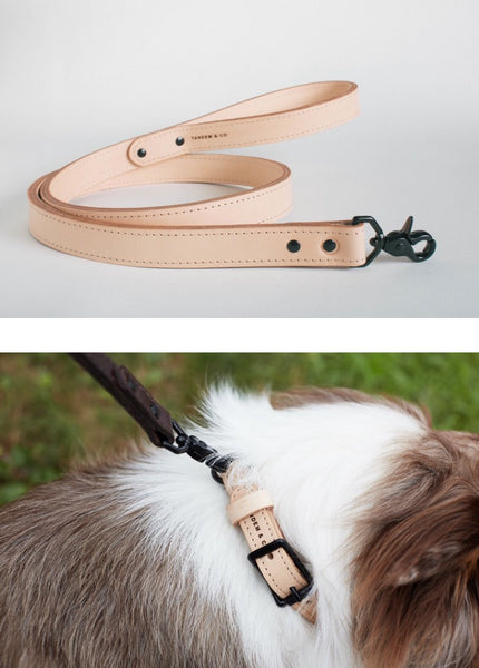 Tandem Co Leash Tan