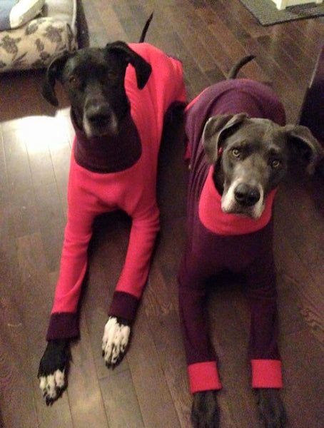 Double Dane Design Jammies