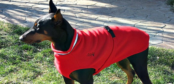 Chilly Dogs Sweater
